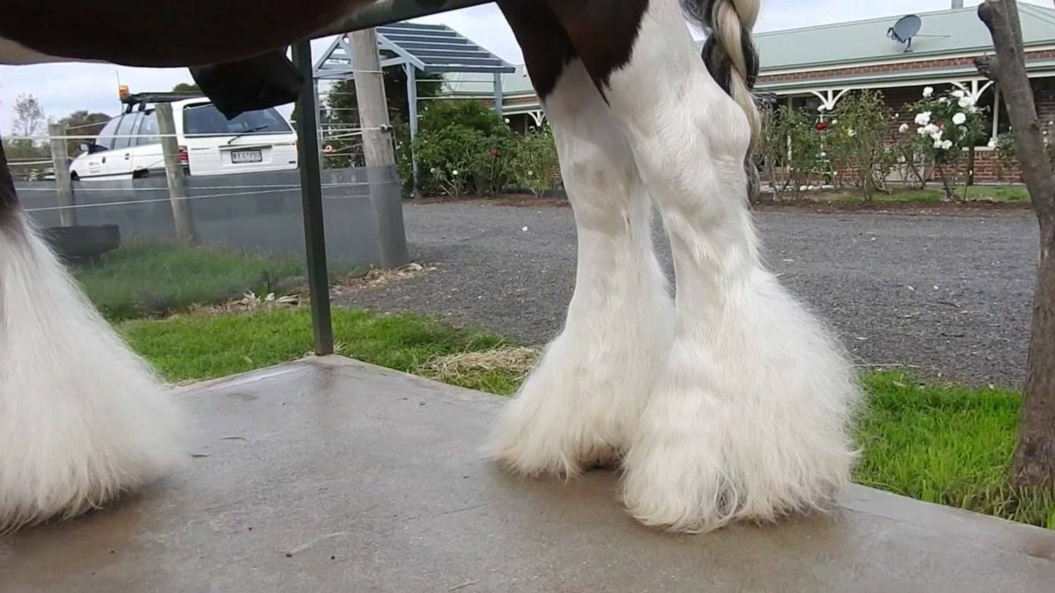 Galloping Goop Demo